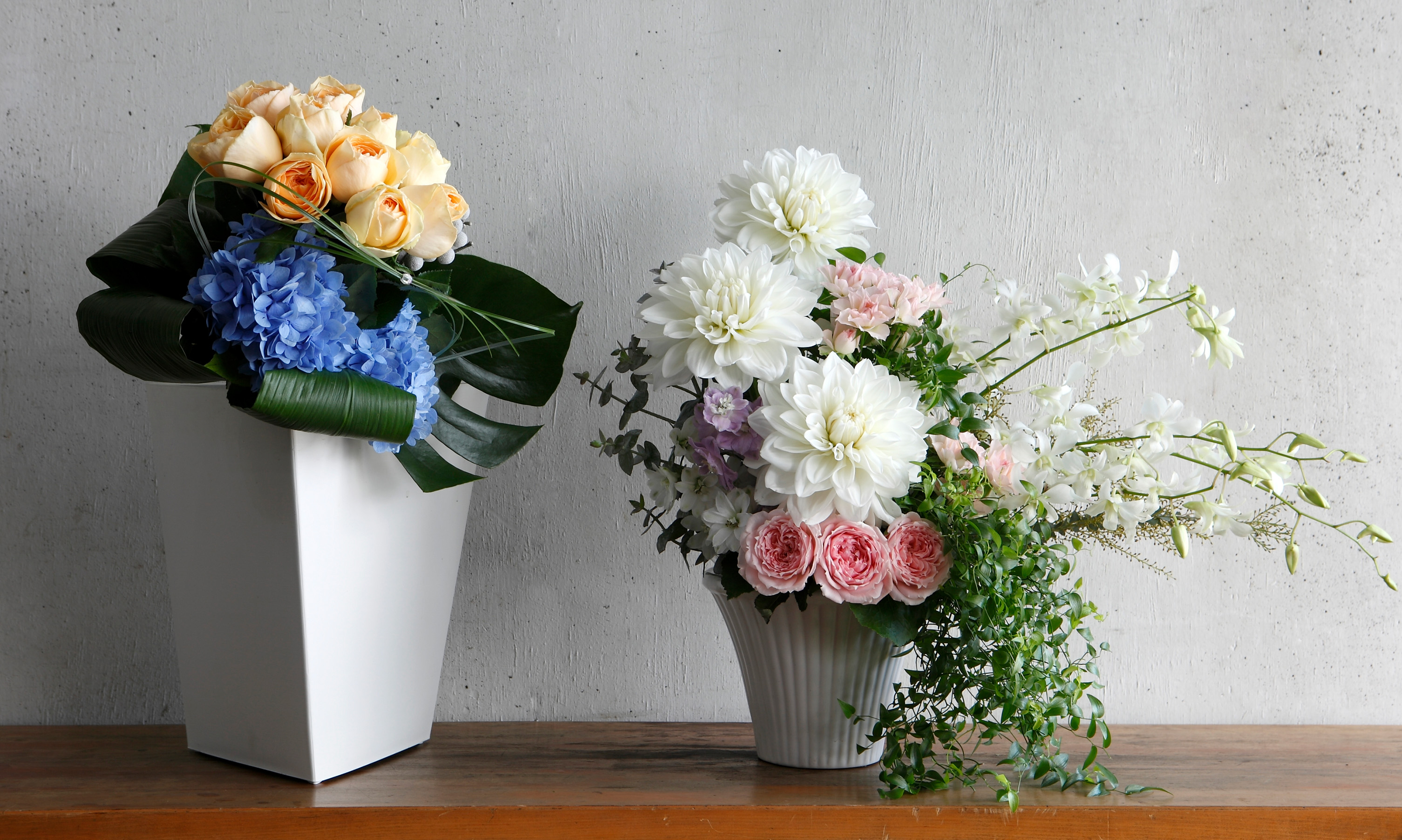 8/25(月)12時より営業いたします – ふろおら｜Sunflower サンフラワー